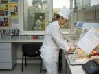 Moldovan authorities prepared to prevent swine fever and other animal diseases