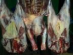 Hundreds of kilograms of meat with no certificate of origin seized in Telenesti town (PHOTO)