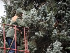 End of winter holidays. Country's main Christmas tree taken down