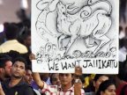 Bullfighting set to resume in Tamil Nadu, India