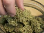 Side effect? Marijuana-linked disease more frequent in 'legalized' U.S. states