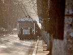 Hundreds of utility poles for trolleybuses to be changed in Chisinau