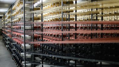 World leaders, walking daily on Moldovan carpets (PHOTOREPORT)