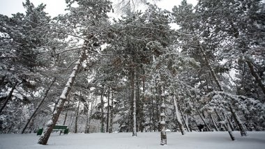 WEATHER FORECAST for January 8, 2017