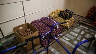 Companies delivering rotten food to schools won’t be accepted to future auctions