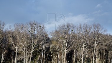 Weather forecast in Moldova for December 4, 2017