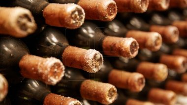 Wine-makers’ output jumped last year