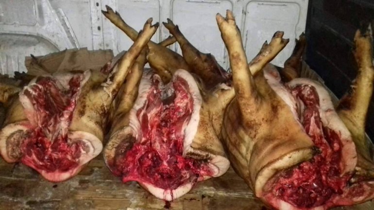 Hundreds of kilograms of meat with no certificate of origin seized in Telenesti town (PHOTO)