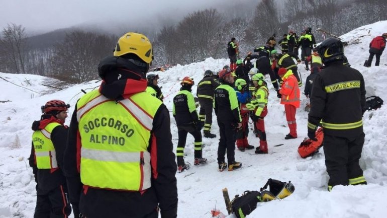 Italy avalanche: Three puppies found alive, giving hope for more survivors (VIDEO)