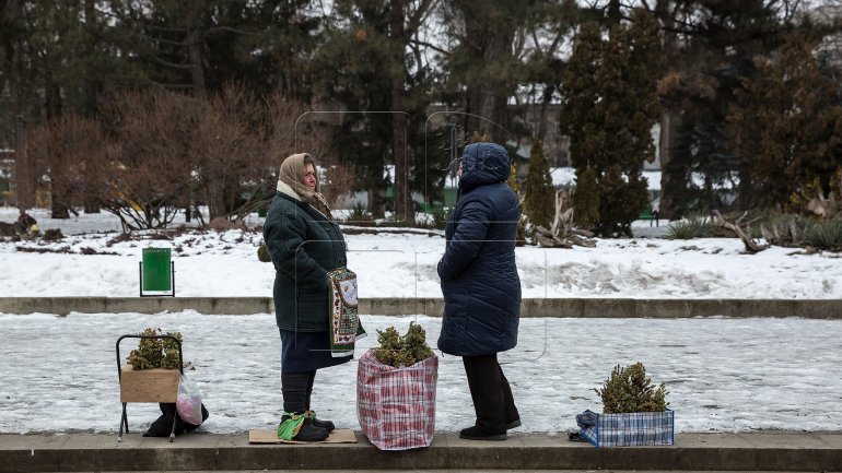 The feast of Epiphany Eve celebrated by Orthodox Christians (PHOTOREPORT)