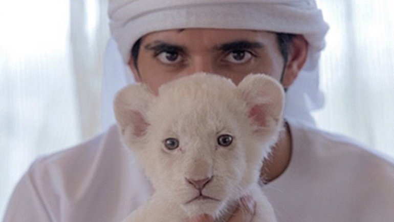 Cheetahs, tigers and lions declared as illegal pets in UAE