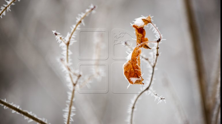 Blizzard hits Moldova bringing heavy snow and strong winds