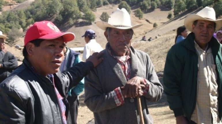 Mexican anti-logging activist Isidro Baldenegro killed