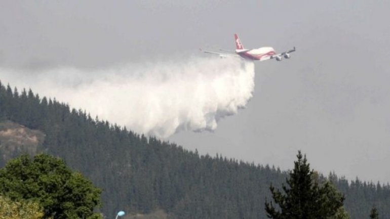 Chile forest fires: Death toll rises to six (PHOTO/VIDEO)