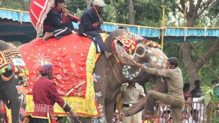 One of world's oldest elephants dies in India