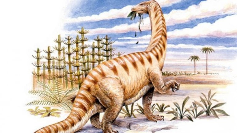 Ancient proteins discovered inside dinosaur bone