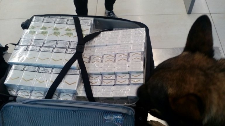 British citizen tries to smuggle 8,000 cigarettes from Moldova