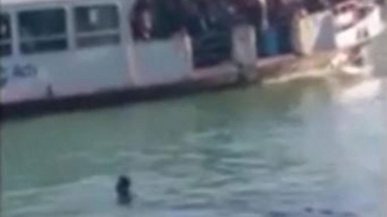 African migrant drowns in Venice Grand Canal as onlookers film him and laugh (VIDEO)