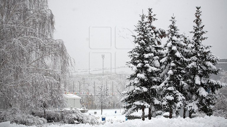 Orange warning for snowfalls and strong blizzard