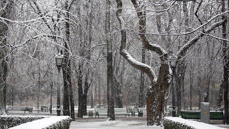 WEATHER FORECAST in Moldova. January 14, 2017