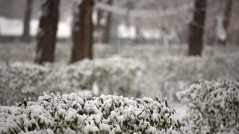 WEATHER FORECAST for coming days: Blizzard and snowfall 