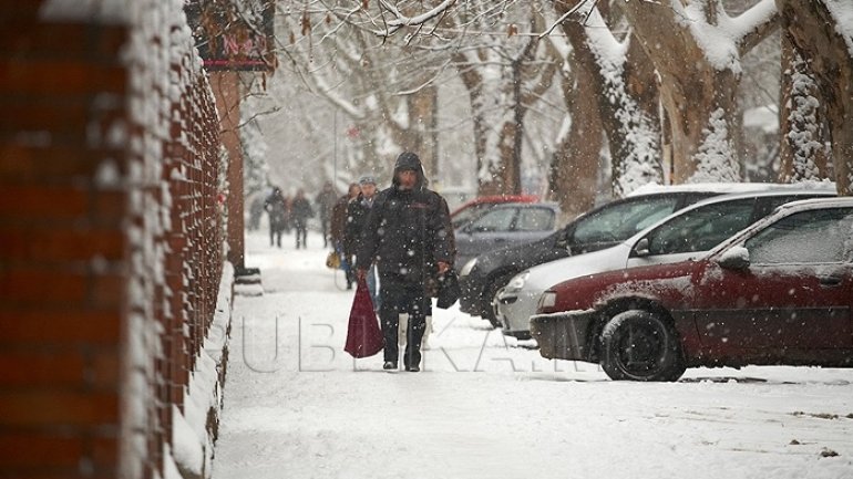 Weather forecast for last weekend of January 2017:Overcast sky and no precipitations