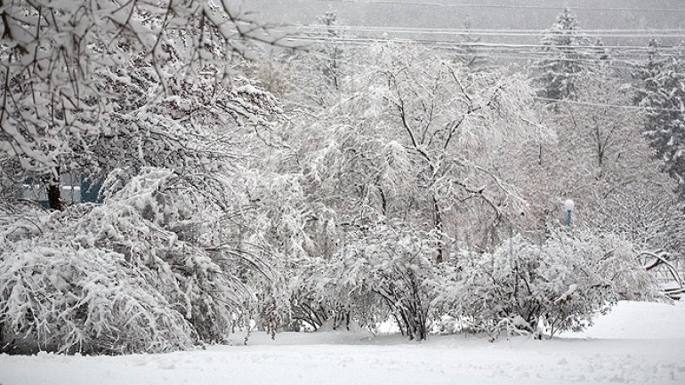 Moldova covered in a new layer of snow. Meteorologists' data