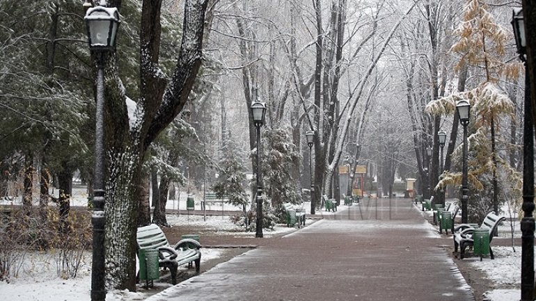 Chisinau residents' reaction to logging in downtown