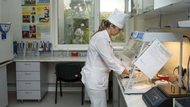 Moldovan authorities prepared to prevent swine fever and other animal diseases