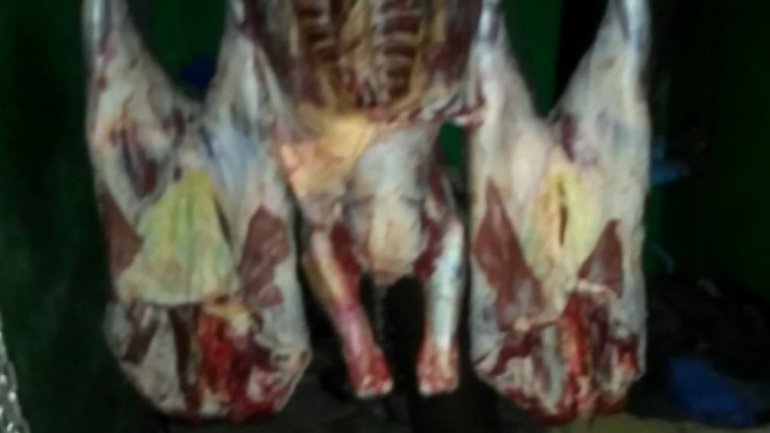 Hundreds of kilograms of meat with no certificate of origin seized in Telenesti town (PHOTO)