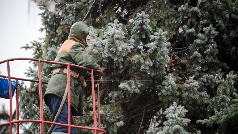 End of winter holidays. Country's main Christmas tree taken down