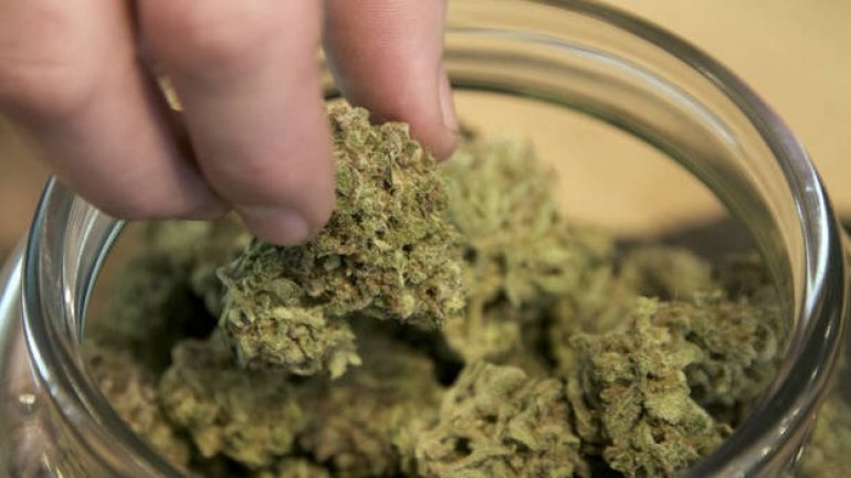 Side effect? Marijuana-linked disease more frequent in 'legalized' U.S. states