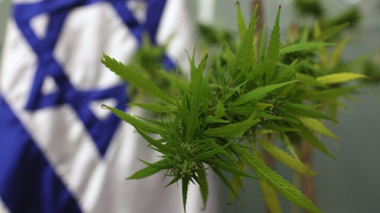 Is it kosher? Israel makes first step to decriminalize marijuana usage