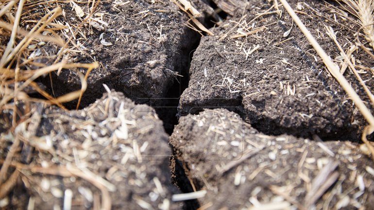 Experts express their opinions regarding drought affecting Moldova