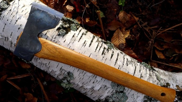 SCARY! Grandpa hits 13-year-old with axe