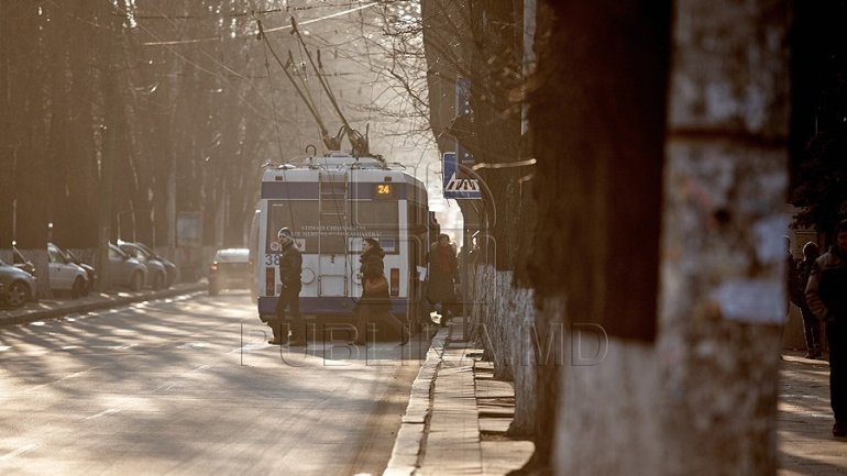 Hundreds of utility poles for trolleybuses to be changed in Chisinau