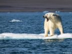 Sea ice at record low in Arctic and Antarctic