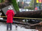 More rain in store after 5 killed in California storms