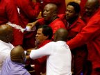 Brawl in South African parliament (VIDEO)