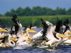 Romania’s Danube Delta, Transfagarasan are "must see" Eastern Europe destinations