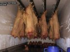 3.1 tons of pork intended for commercialization seized by patrolling inspectors