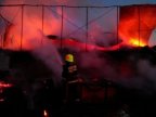 Cows, pigs die in big fire near Chisinau