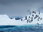 Sea ice in Antarctica hits new record low