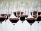 Moldovan wineries likely to return to Russian market