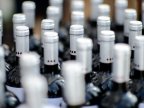 Russian experts start inspecting Moldova wineries