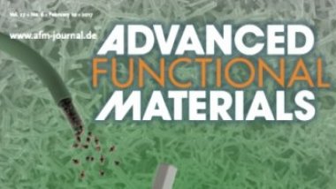 Moldovan researchers' work published in prestigious scientific magazine