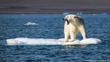 Sea ice at record low in Arctic and Antarctic