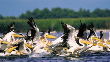 Romania’s Danube Delta, Transfagarasan are "must see" Eastern Europe destinations
