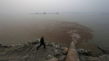 China will have ecology warning system by 2020