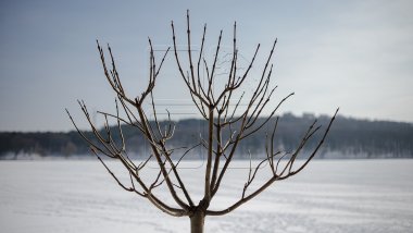 Weather Forecast in Moldova. February 24th, 2017